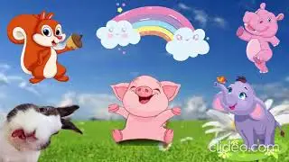 🌈🐘Animal Sounds - monkeys, elephants, squirrel, ducks, dog, rabbit, cows, cats, owl. #part10
