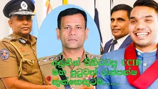 අලුතින් පිහිටවපු CCIB මහ පුටුවත් රාජපක්ෂ කුක්කෙකුටම.......