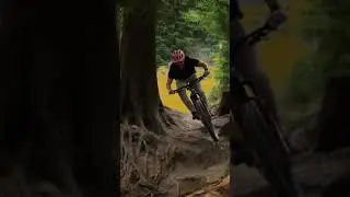 Which Do I NEED?! 🤷 | Trail Vs Enduro Bikes
