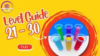 Sort It 3D Level 21 - 30 Walkthrough