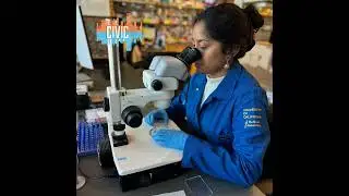 How Federal Cuts Threaten Research and Lives
