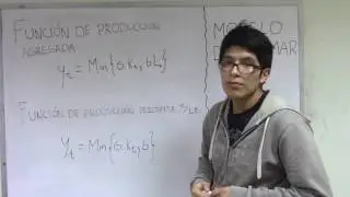 MODELO DE DOMAR
