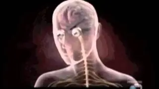 Co-Occuring Disorders