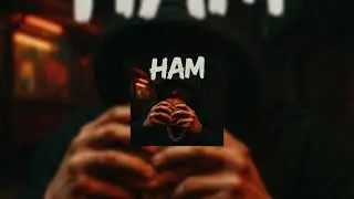 Pengu - HAM (prod. by Ali Demirel)