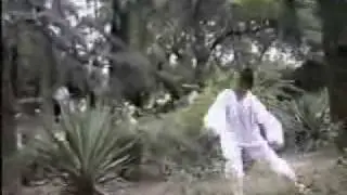 a Incredible, rare video Chinese kung fu of Wu Dang