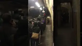 Crowding Disaster at 181st Street! NYC Subway Woes at Their Finest