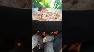 #subscribe #shortvideo #fishing #fishingtutorial #fishingandcooking #fishingfanatics #food #nature