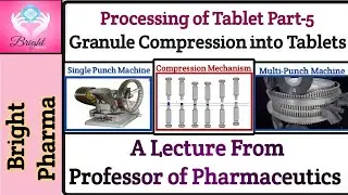 Tablet Compression Machines In Detail (Hindi) | Bright Pharma