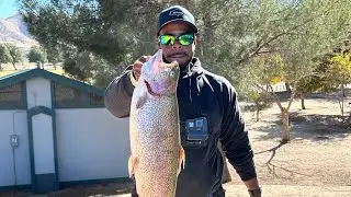SoCal Trout Fishing.  Hisperia Lake ( Re-Post)