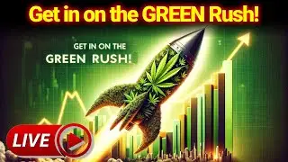 Weed Stocks SOAR: HIGH Time to Invest? #WeedStocks