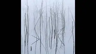 Olhava - Frozen Bloom I