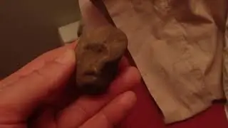 Stone age rock art;