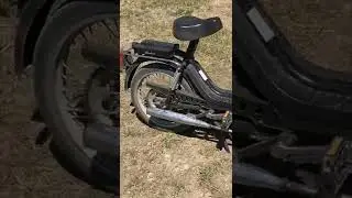 Babetta 215