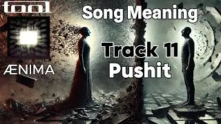 TOOL - &AElig;nima - Pushit - Meaning Explained