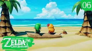 The Legend of Zelda: Link's Awakening (Switch) 4K - #06: Animal Village and The Angler Key