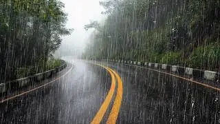 Pluie Pour Dormir en 5 Minutes –Bruit de Pluie Relaxant dans une Forêt Brumeuse pour Sommeil Profond