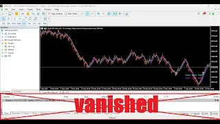 When the toolbox, which includes trade viewing and history functionalities, has disappeared
