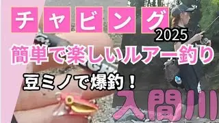 【チャビング】豆ミノで爆釣！簡単、楽しいルアー釣りはチャビング！埼玉県飯能市・入間川で癒やしの渓流カワムツ釣り。
