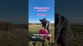 Day 5/31 Custom Tips For Anxious Dogs - Go Sniff