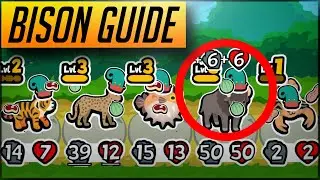 BISON GUIDE - Super Auto Pets 10 Win Strategies