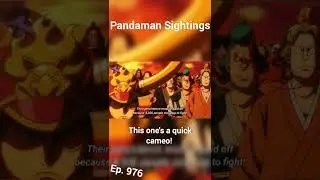 Pandaman Sightings Ep&nbsp;976 #anime #fyp #onepiece #pandaman #onepieceedit #onepieceanime