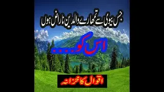 Aqwal e Zareen | Heart Touching Quotes | knowledge ki dunya
