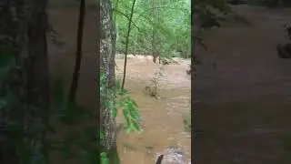 Old Courthouse creek after a major storm