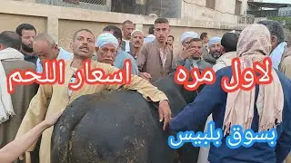 لاول مره اسعار اللحم بسوق بلبيس من فم الاسد وكشف الحقيقه عن اسعار العجول وتغطيه كامله ✌️👉