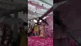 Flower shower your guest like this.😍💐 #weddingplanner #weddingplanning #destinationwedding