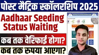 What is the meaning of Post Matric Scholarship Aadhar Seeding Pending? | When will PMS Payment come?