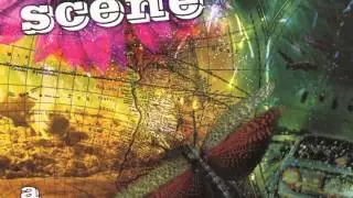 Ocean Colour Scene - Waving Not Drowning