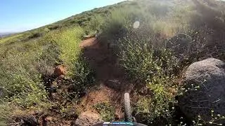 Overgrown descending trail from White Cross Murrieta