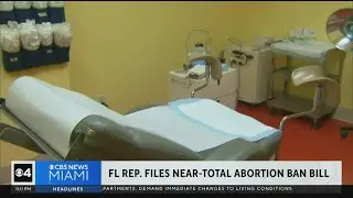 Miami-Dade Florida House Representative files bill banning virtually all abortions