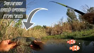 חגיגה של עשרות מושטים בנהר הירדן/מה זה אקוופוניקה? ואיך זה קשור לדגים שלי?.
