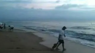 Beach Seine Fishing (THE REAL VIDEO)