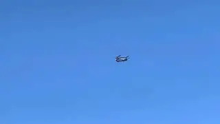 US Army Boeing CH-47F Chinook [13-08147] passing through Lillington, NC