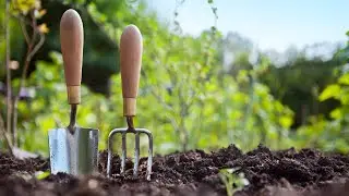 Garden Motivation 101: Getting Things Done