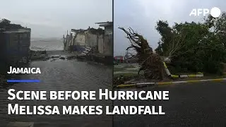 Fallen trees, windy conditions in St. Catherine as Hurricane Melissa hits Jamaica | AFP