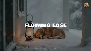 Flowing Ease &ndash; Relaxation Instrumental for Dogs | Stress Relief & Calm