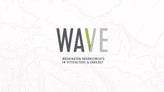 WAVE/Ravenholt Seminar | Sustainable Cleaning for the Winery | Bob Coleman | April 23, 2025