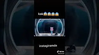 Sfdvc