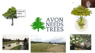 More Trees for Bristol - 10.12.2020