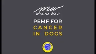 Cancer in Dogs | MagnaWave