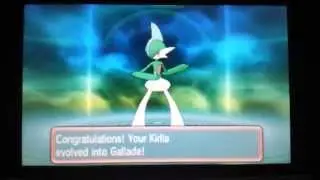 How To Get Gallade In Pokemon Omega Ruby and Alpha Sapphire