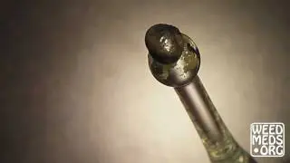 Nuggetry Blackberry Wax (Concentrate)