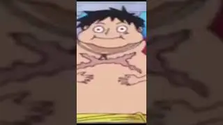 luffy is fat