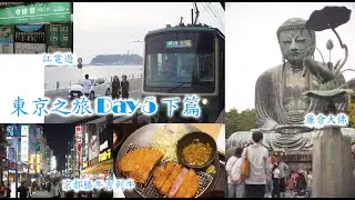 [東京之旅 Day 5 下篇] 江電遊－男兒當入樽海岸－廉倉大佛－京都勝牛吉列牛丼