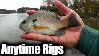 Easy Bank Fishing Rigs For Beginners (Float Rig Vs Bottom Rig)
