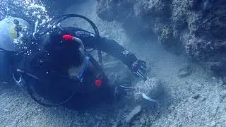 PC120219