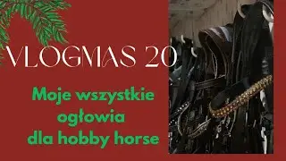 Vlogmas #20 moje wszystkie ogłowia dla hobby Horse! (Sarisa,nov,torrica,mch itp)